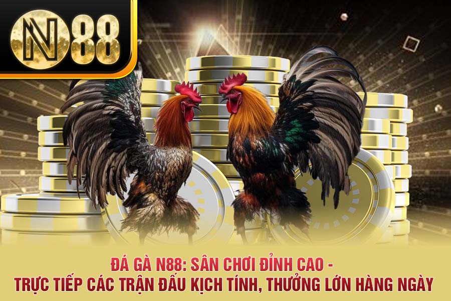 Đá Gà N88: Sân Chơi Đỉnh Cao - Trực Tiếp Các Trận Đấu Kịch Tính, Thưởng Lớn Hàng Ngày