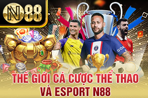 Ảnh đại diện bài viết Cá Cược Thể Thao và Esport N88
